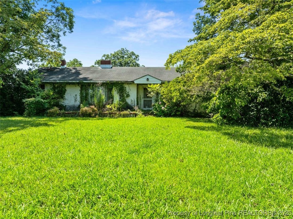 4247 River Road Wade, NC 28395 - Photo 13 of 17 a view of outdoor space yard and patio