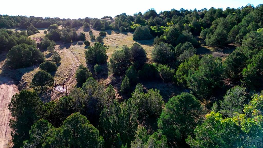 Tbd Bear Creek Road Walsenburg, CO 81089 - Photo 19 of 37