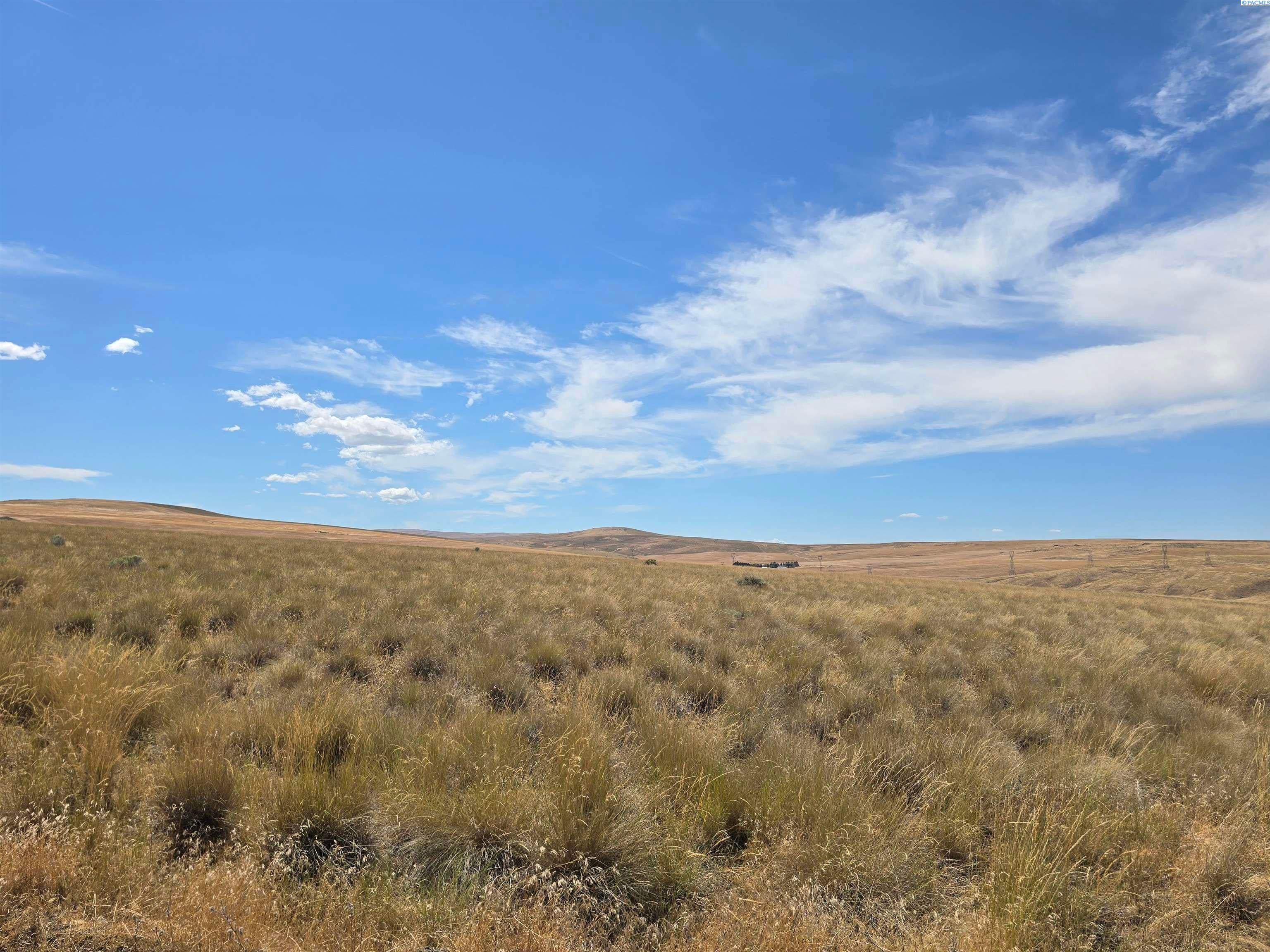 Lot 6 Turpin Road Mabton, WA 98935 - Photo 5 of 10 Gallery Image 5