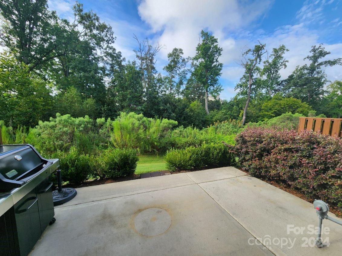 627 Amber Meadows Way Tega Cay, SC 29708 - Photo 3 of 30