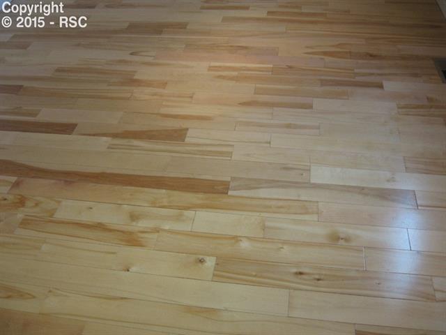 803 Weber Ridge Point Colorado Springs, CO 80903 - Photo 4 of 19