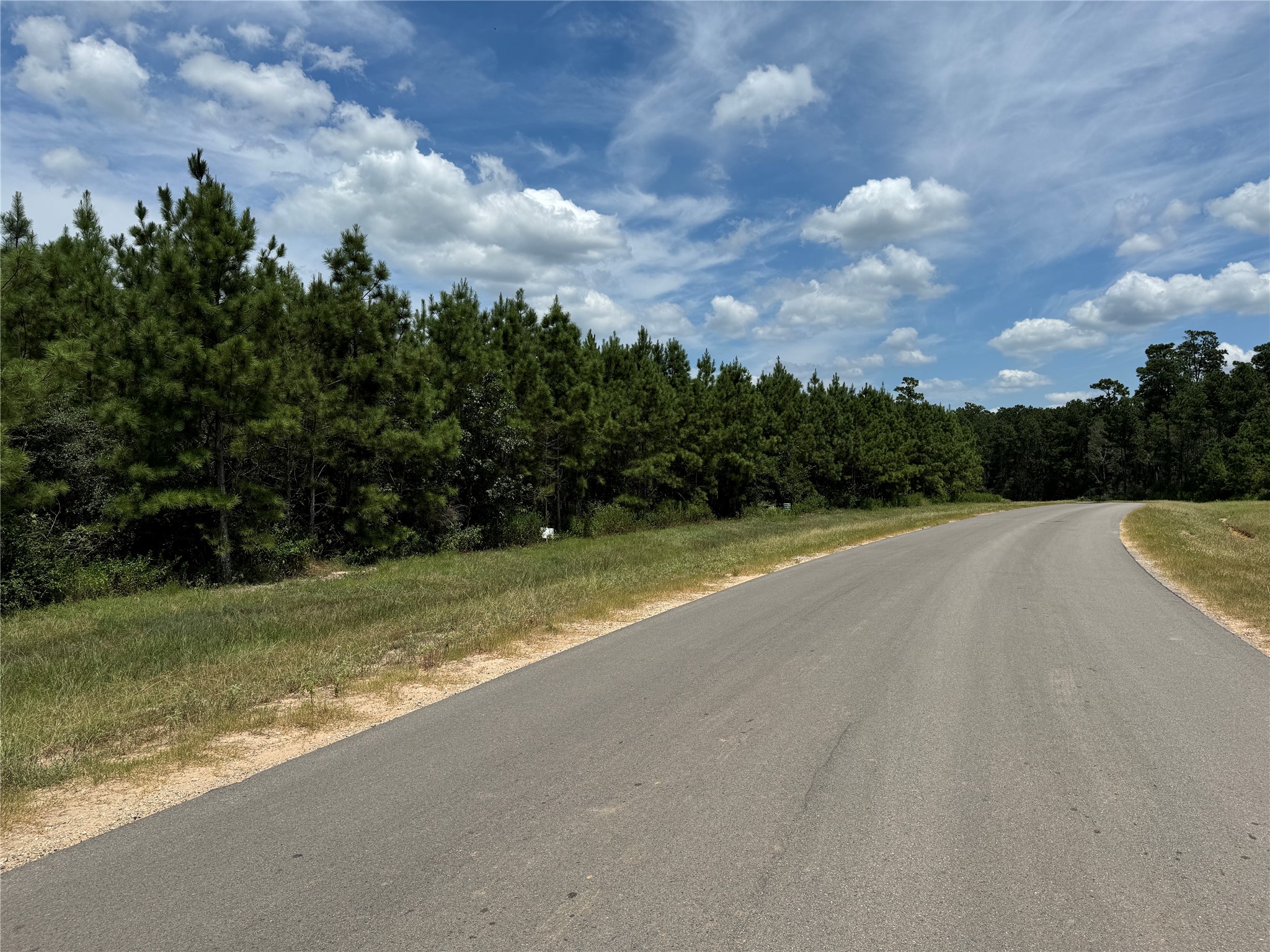 15745 Ridge Rock Road Willis, TX 77378 - Photo 14 of 15 a view of a yard with large trees