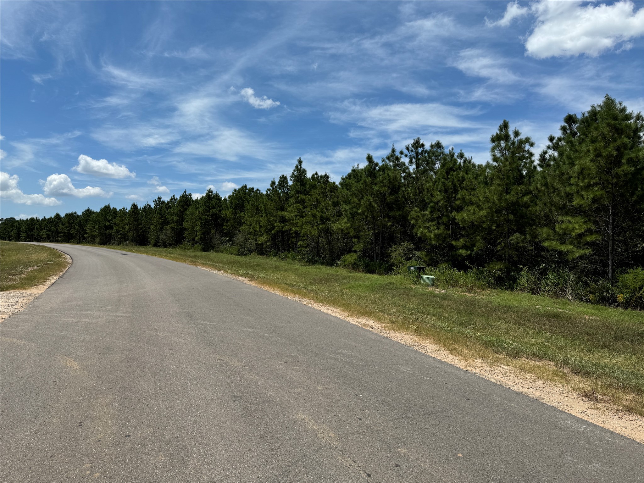 15745 Ridge Rock Road Willis, TX 77378 - Photo 15 of 15 a view of a field with trees in background