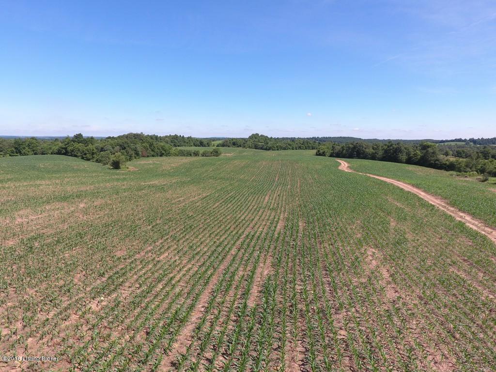 178 St Anthony Road Clarkson, KY 42726 - Photo 2 of 49 Current Crops include Corn