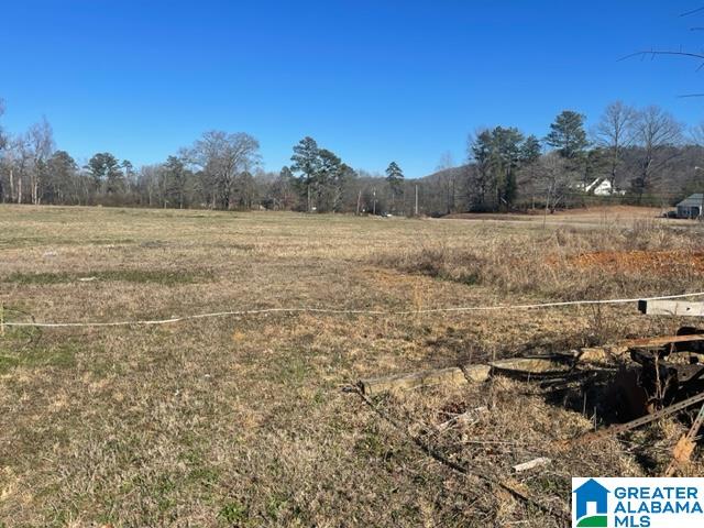 600 Valley Drive Attalla, AL 35954 - Photo 11 of 27