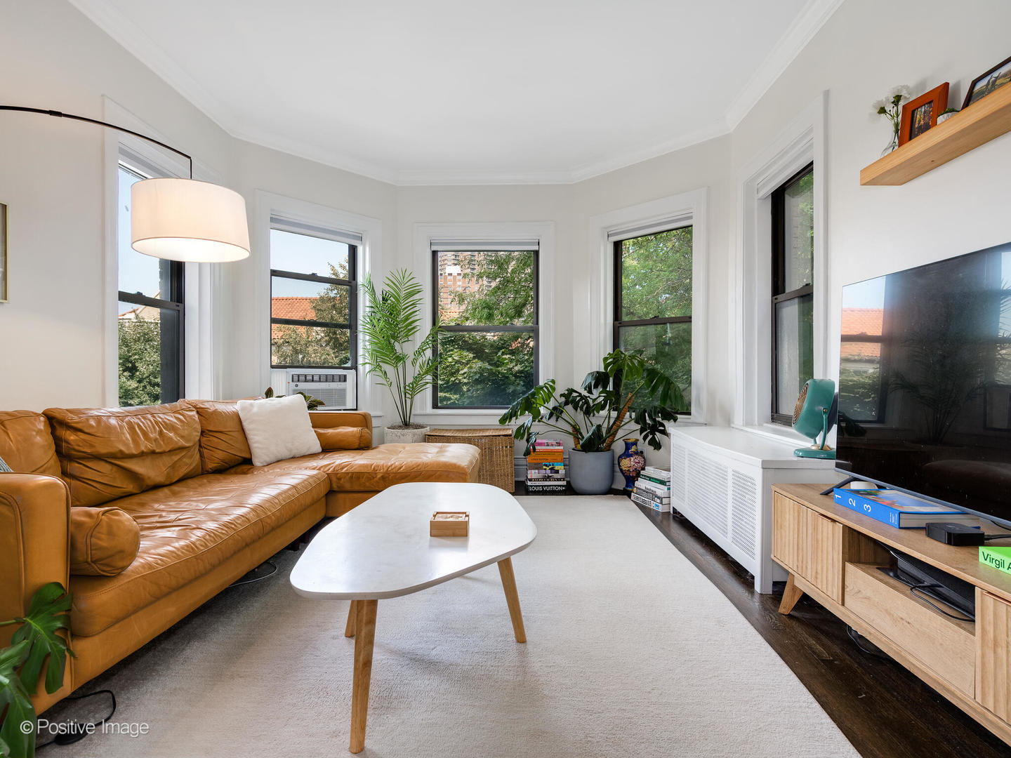 539 West Brompton Avenue, Unit 3N Chicago, IL 60657 - Photo 3 of 20