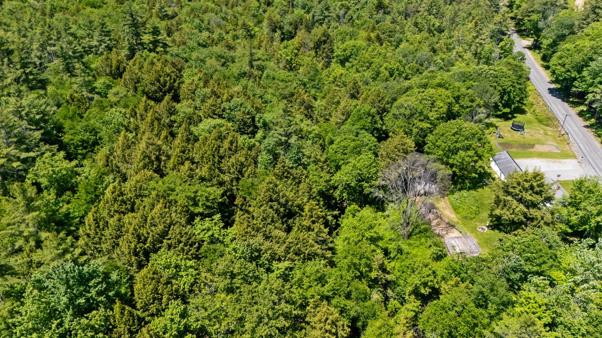 202 Granite Lake Road Nelson, NH 03457 - Photo 3 of 60