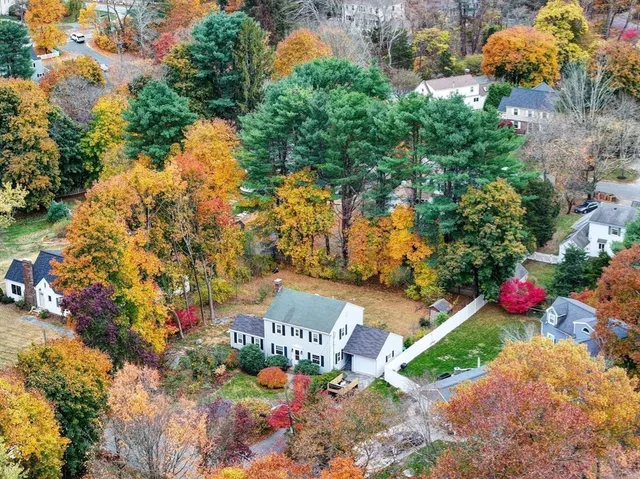 a view of a bunch of flowers and trees
