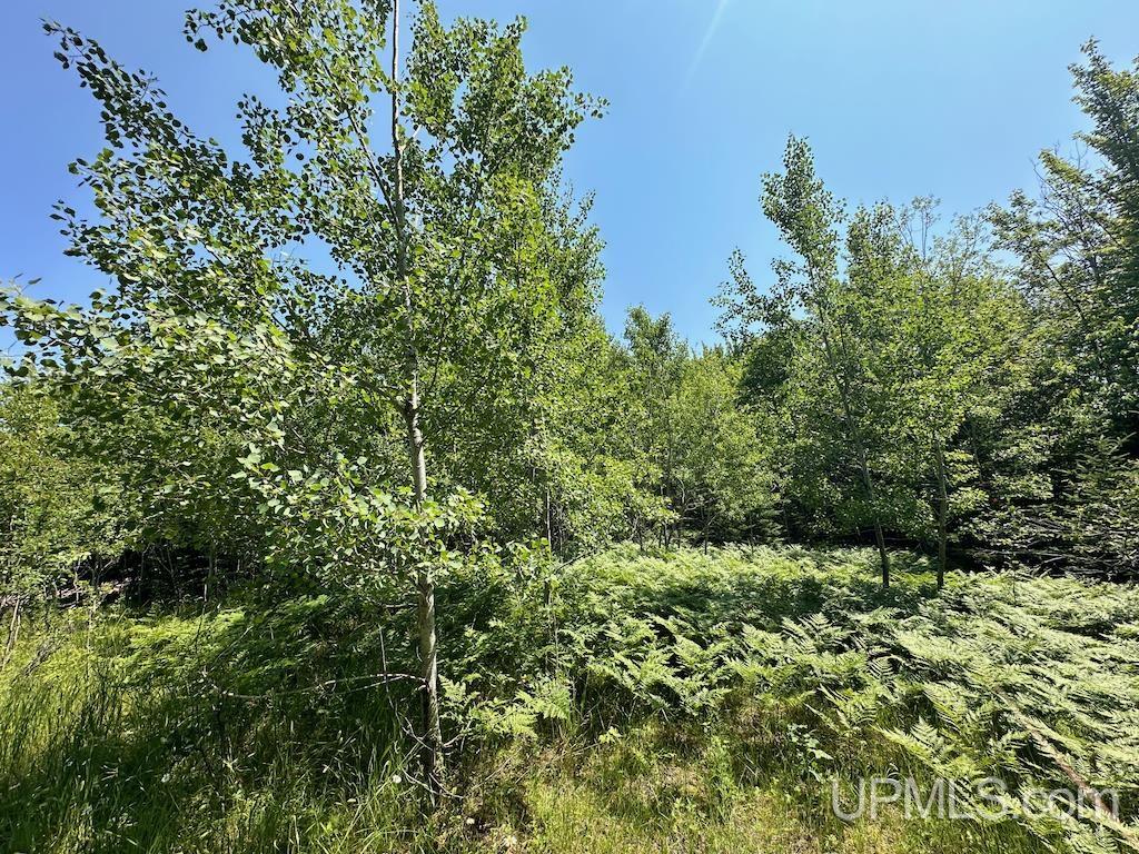 Parcel A Webb Road Grand Marais, MI 49839 - Photo 27 of 29