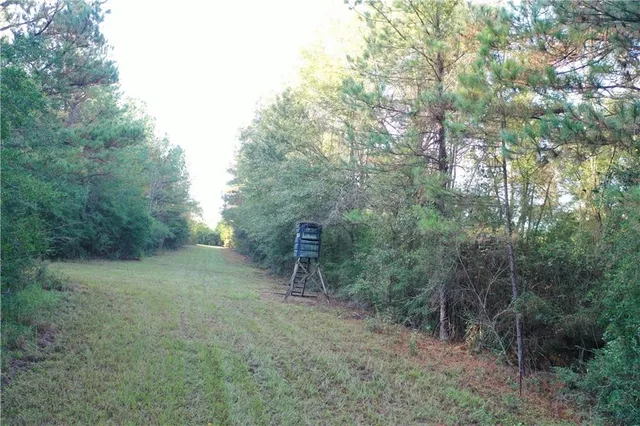 $308,440 | 0 La 438 Highway, Mount Hermon, LA 70450