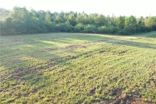 $308,440 | 0 La 438 Highway, Mount Hermon, LA 70450