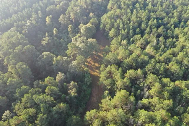 $308,440 | 0 La 438 Highway, Mount Hermon, LA 70450