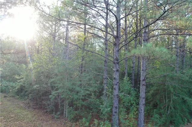 $308,440 | 0 La 438 Highway, Mount Hermon, LA 70450