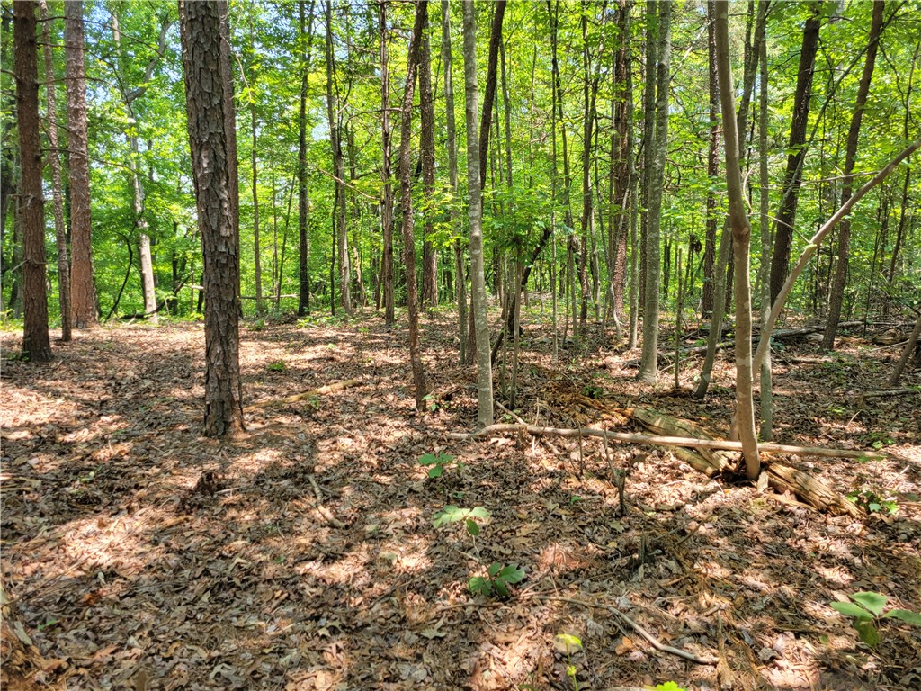 306 Foxfire Road Central, SC 29630 - Photo 6 of 12