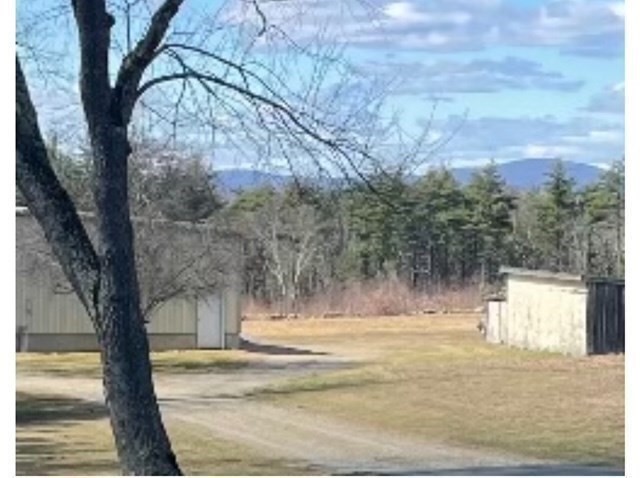 52 Peach Hill Road Berlin, MA 01503 - Photo 26 of 27 a view of yard with trees