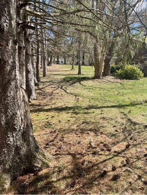 52 Peach Hill Road Berlin, MA 01503 - Photo 3 of 27 a view of a yard with large trees