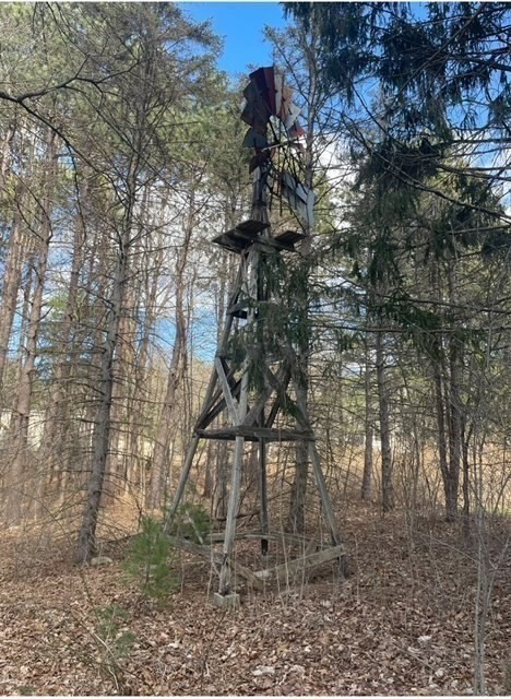 52 Peach Hill Road Berlin, MA 01503 - Photo 4 of 27 a picture of tree