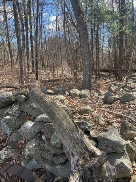 52 Peach Hill Road Berlin, MA 01503 - Photo 5 of 27 a view of house with trees