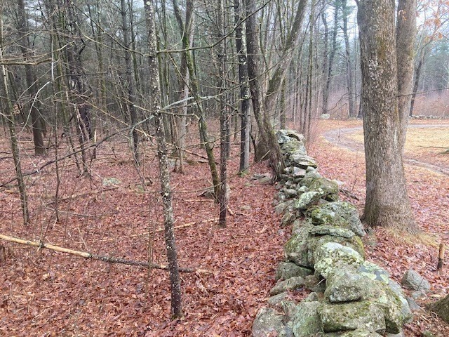 52 Peach Hill Road Berlin, MA 01503 - Photo 7 of 27 a view of a yard with plants and trees