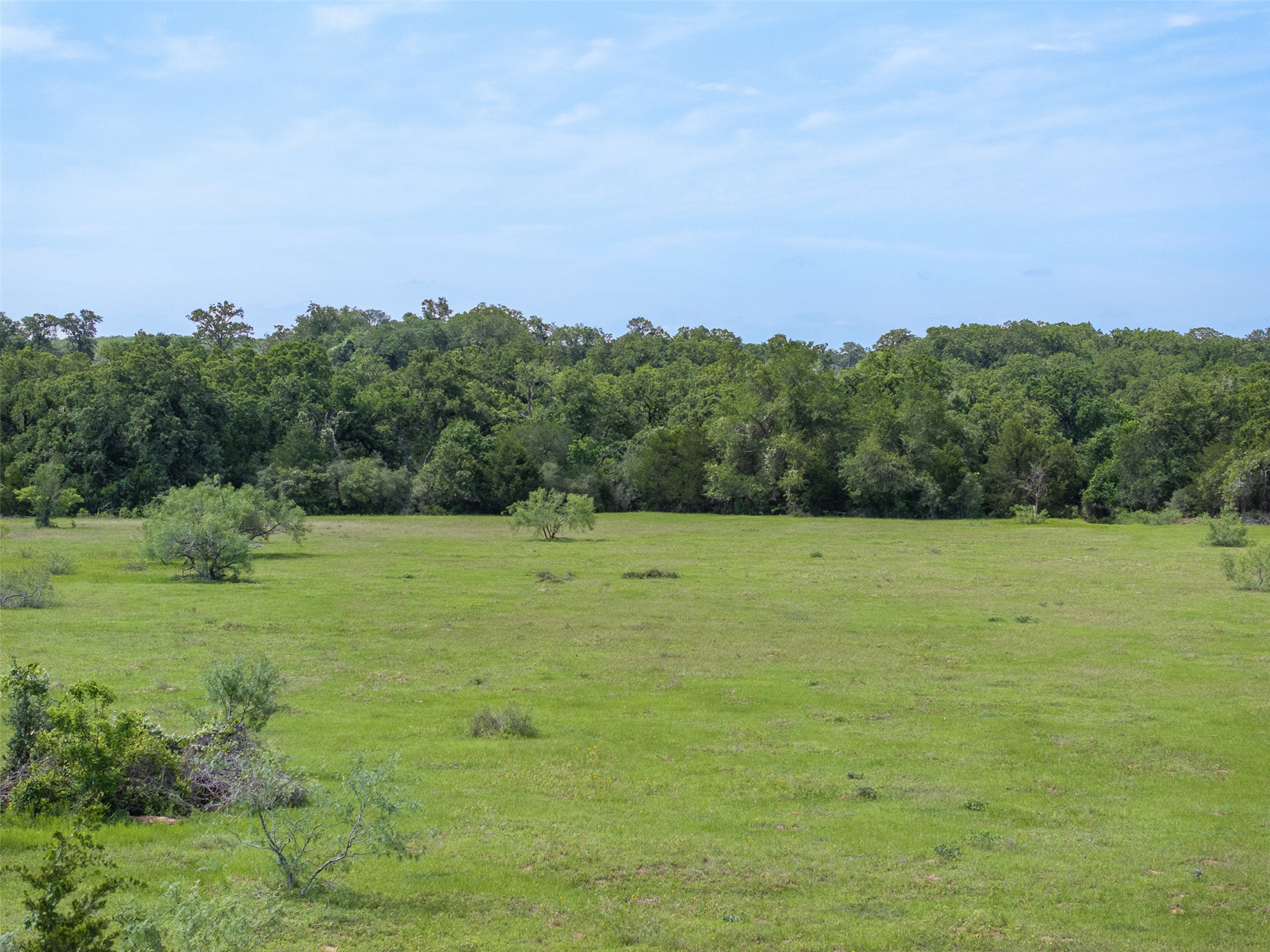 459 County Road 459 Road Thorndale, TX 76577 - Photo 34 of 35 a view of a field with an trees