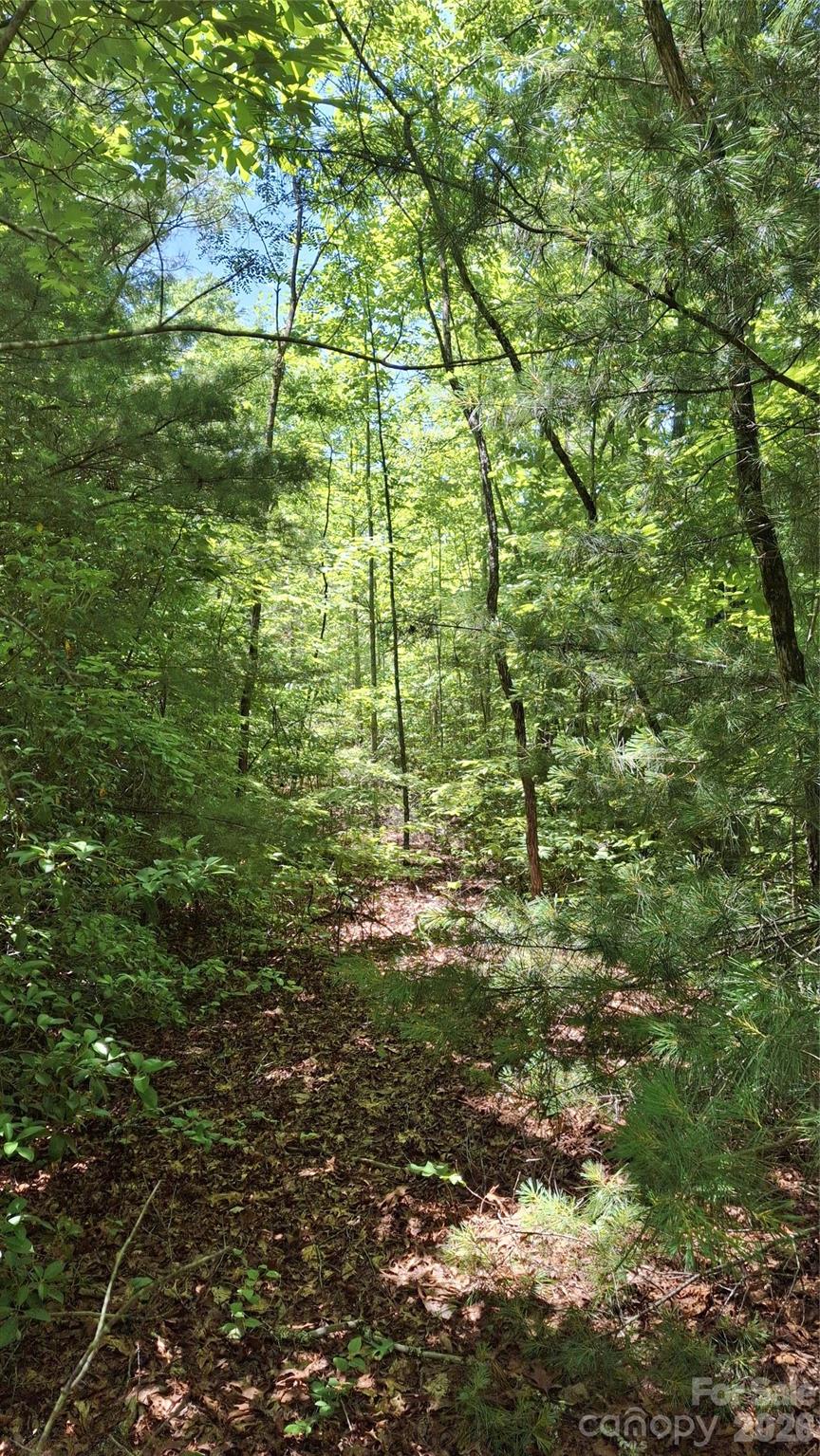 272 Kako Ridge, Unit 64 Sylva, NC 28779 - Photo 10 of 15