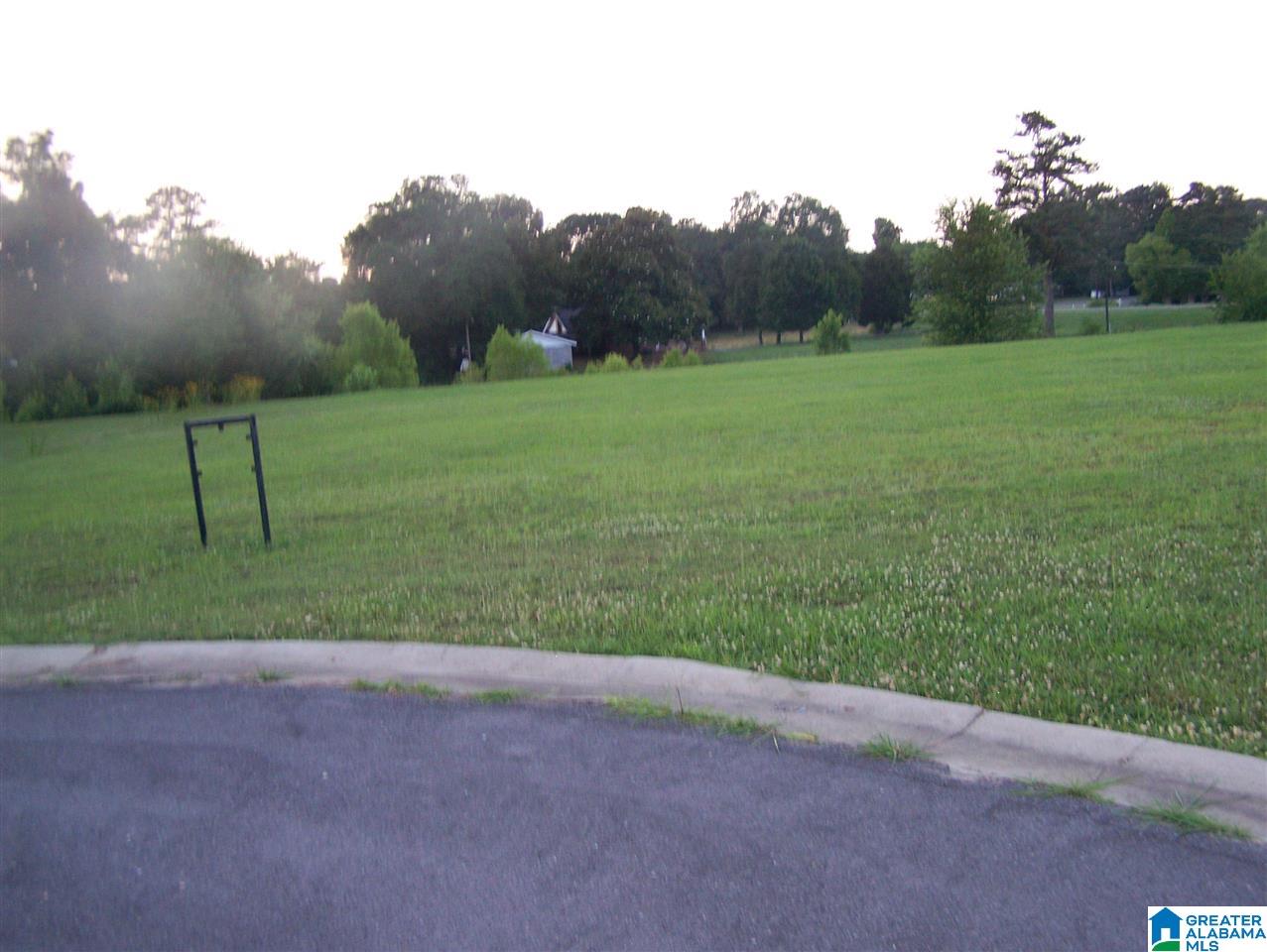 Mercedes Lane Cleveland, AL 35049 - Photo 7 of 9