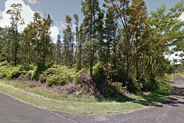 427 Waimea Road Pahoa, HI 96778 - Photo 1 of 2 a view of a yard