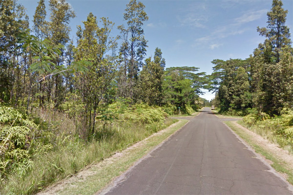 427 Waimea Road Pahoa, HI 96778 - Photo 2 of 2 a view of a yard with an trees
