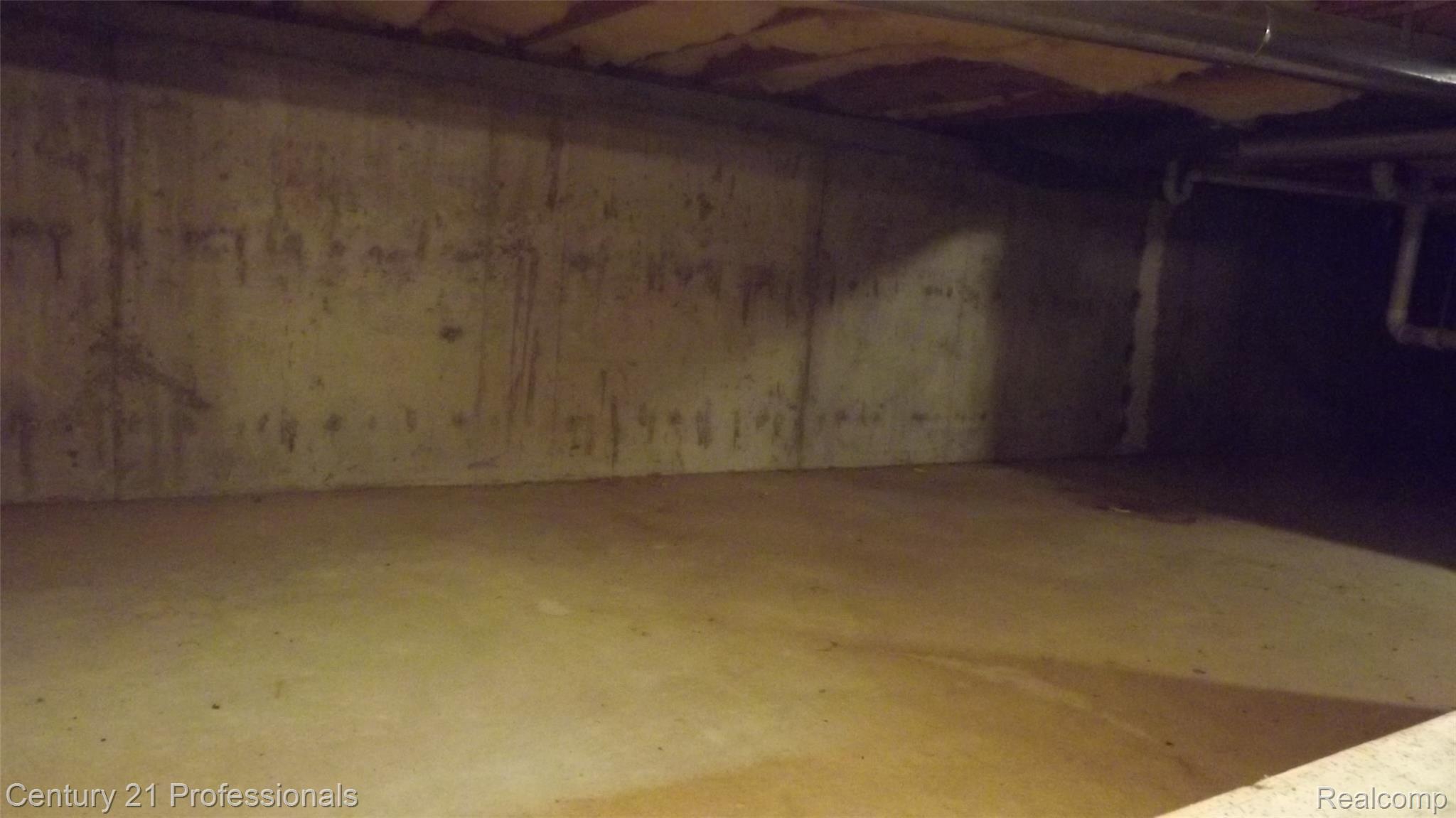 710 Preston Court, Unit 174 Rochester, MI 48307 - Photo 16 of 19 Large Crawl Space for Storage
