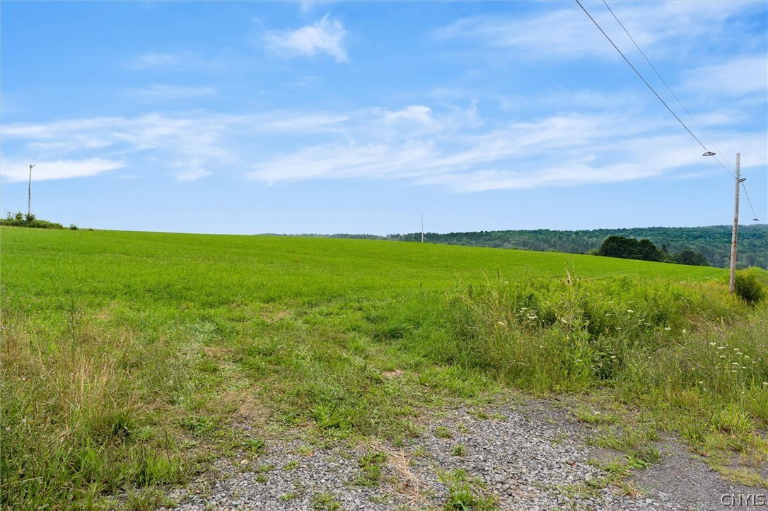 Eatonbrook Road Erieville, NY 13061 - Photo 8 of 12