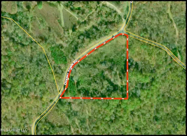 $96,000 | Chapel Town Road, Courtland, MS 38620