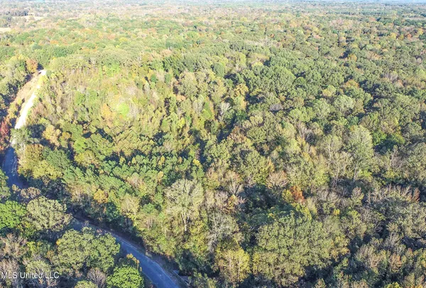 $96,000 | Chapel Town Road, Courtland, MS 38620