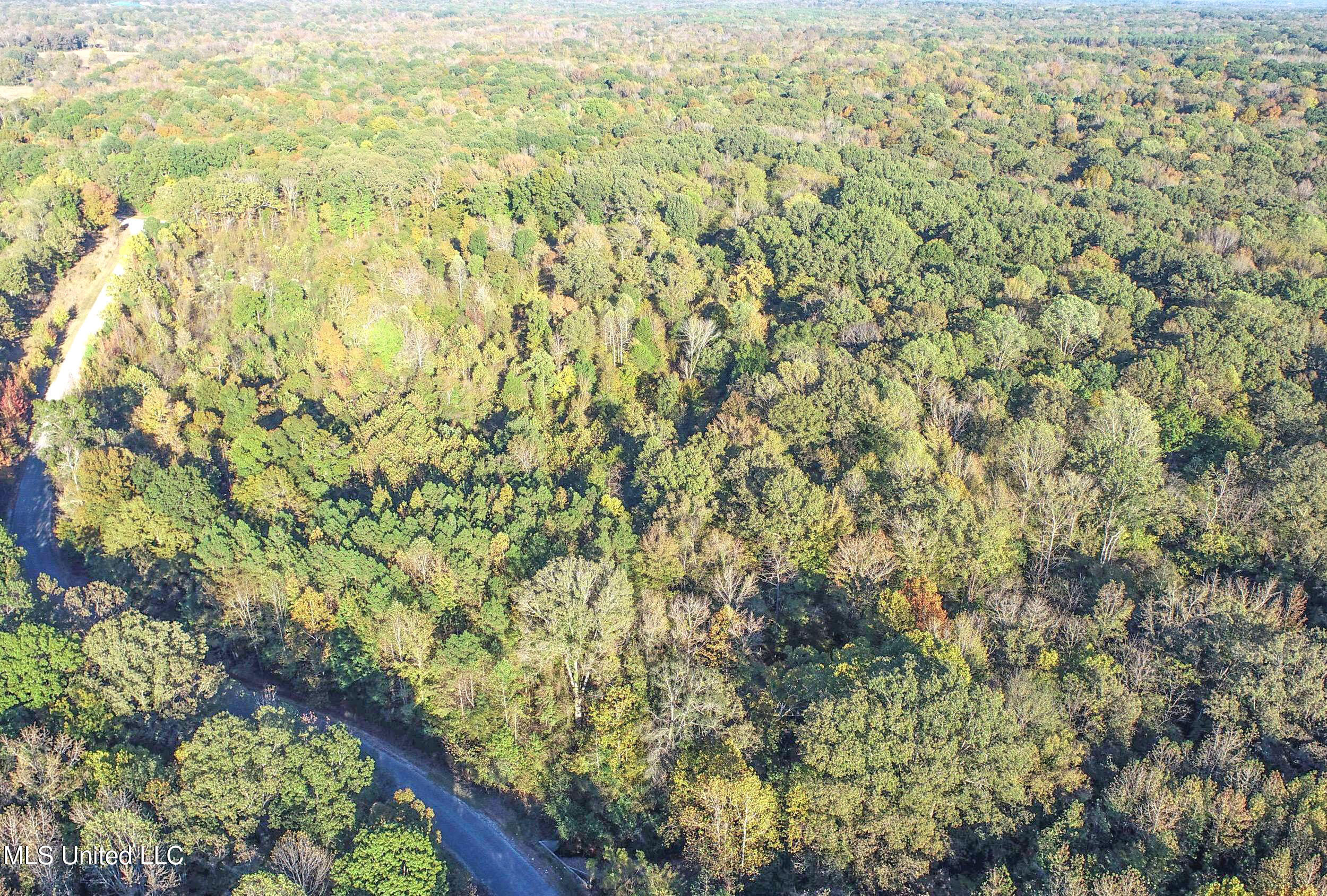 Chapel Town Road Courtland, MS 38620 - Photo 11 of 28 12.2CTRd8