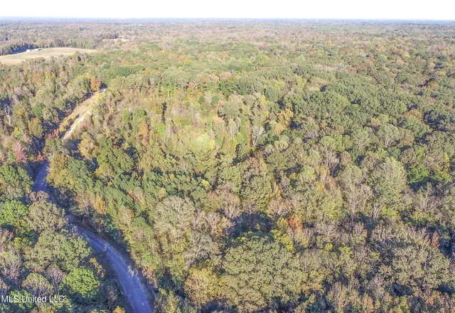 $96,000 | Chapel Town Road, Courtland, MS 38620