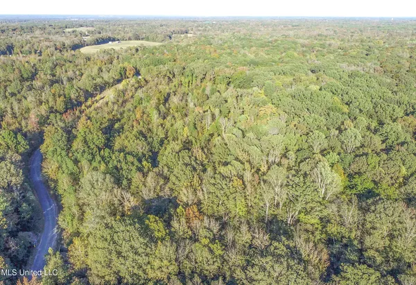 $96,000 | Chapel Town Road, Courtland, MS 38620