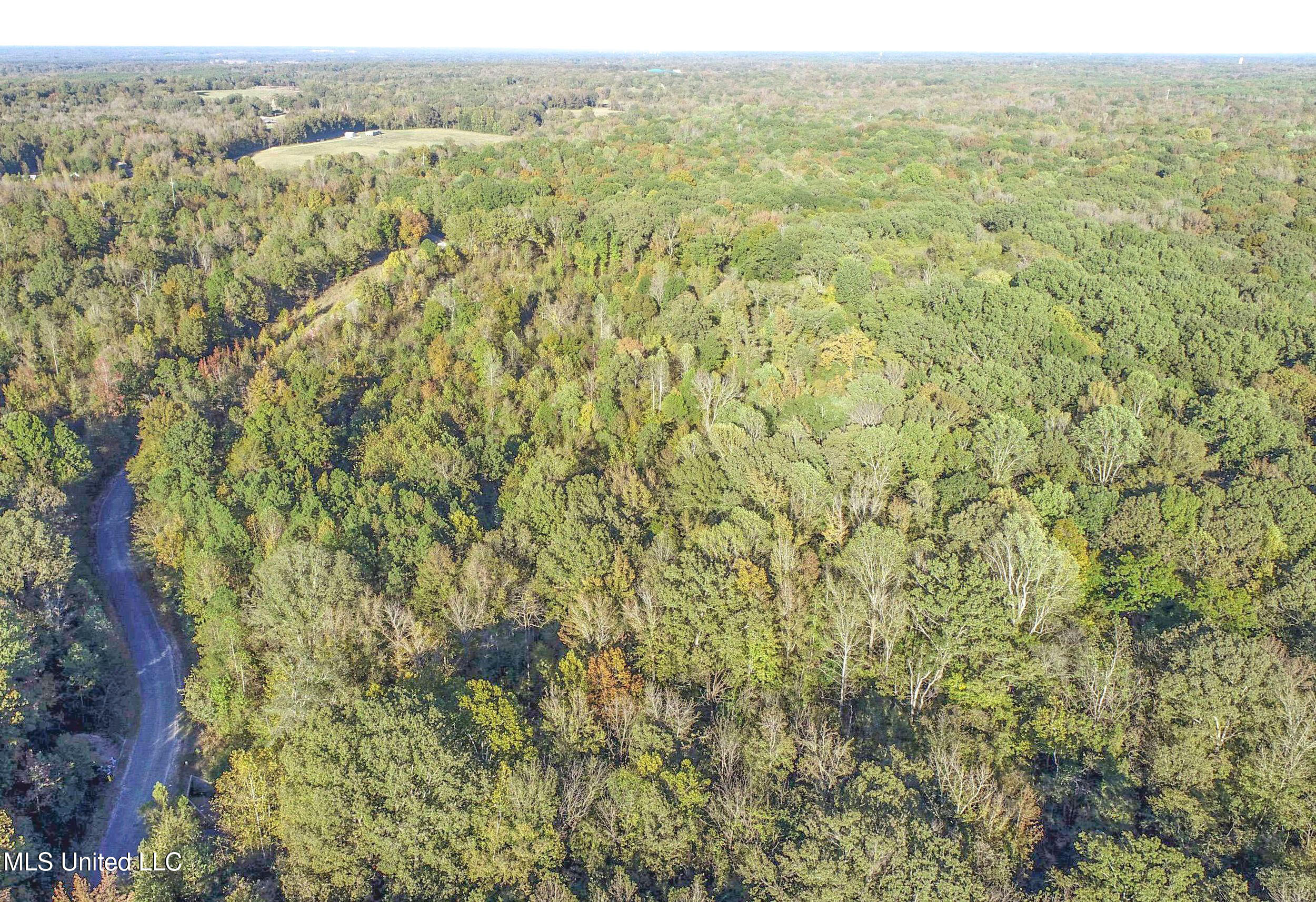 Chapel Town Road Courtland, MS 38620 - Photo 13 of 28 12.2CTRd11