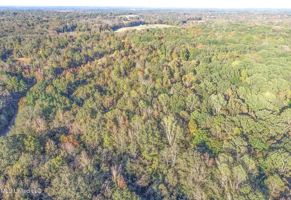 $96,000 | Chapel Town Road, Courtland, MS 38620