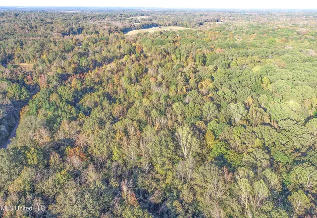 $96,000 | Chapel Town Road, Courtland, MS 38620