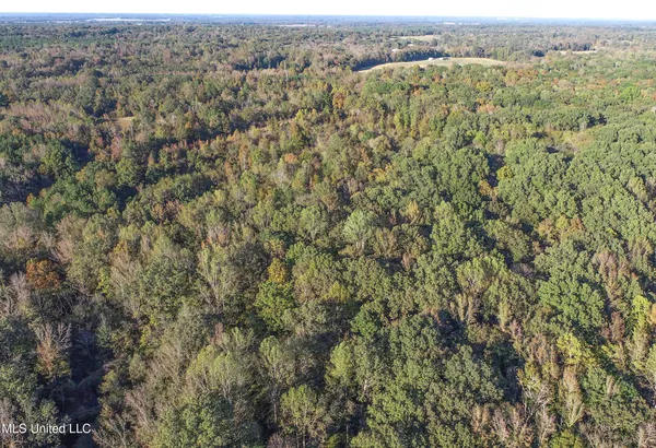 $96,000 | Chapel Town Road, Courtland, MS 38620