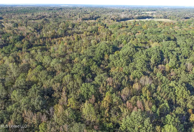 $96,000 | Chapel Town Road, Courtland, MS 38620