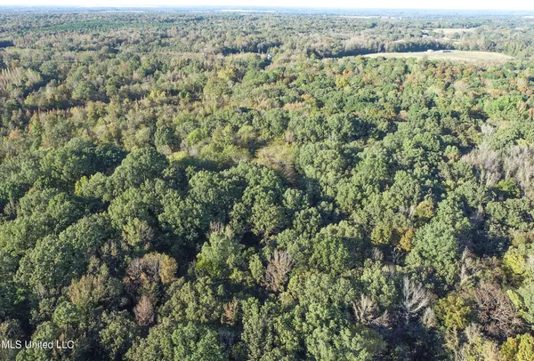 $96,000 | Chapel Town Road, Courtland, MS 38620