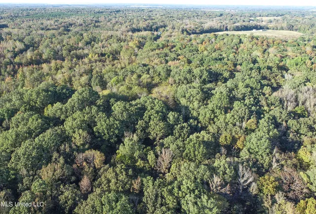 $96,000 | Chapel Town Road, Courtland, MS 38620