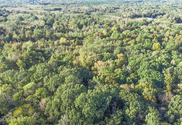 $96,000 | Chapel Town Road, Courtland, MS 38620