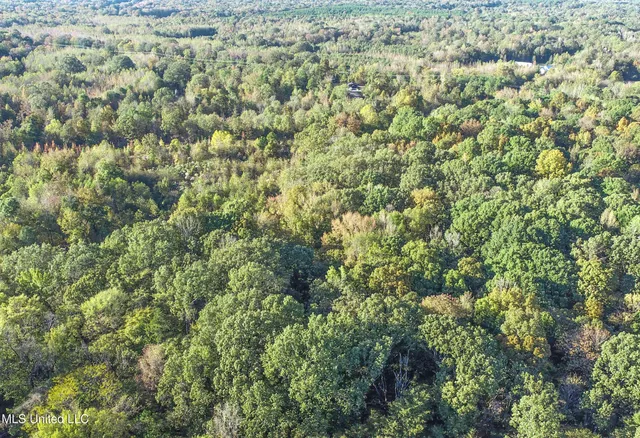 $96,000 | Chapel Town Road, Courtland, MS 38620