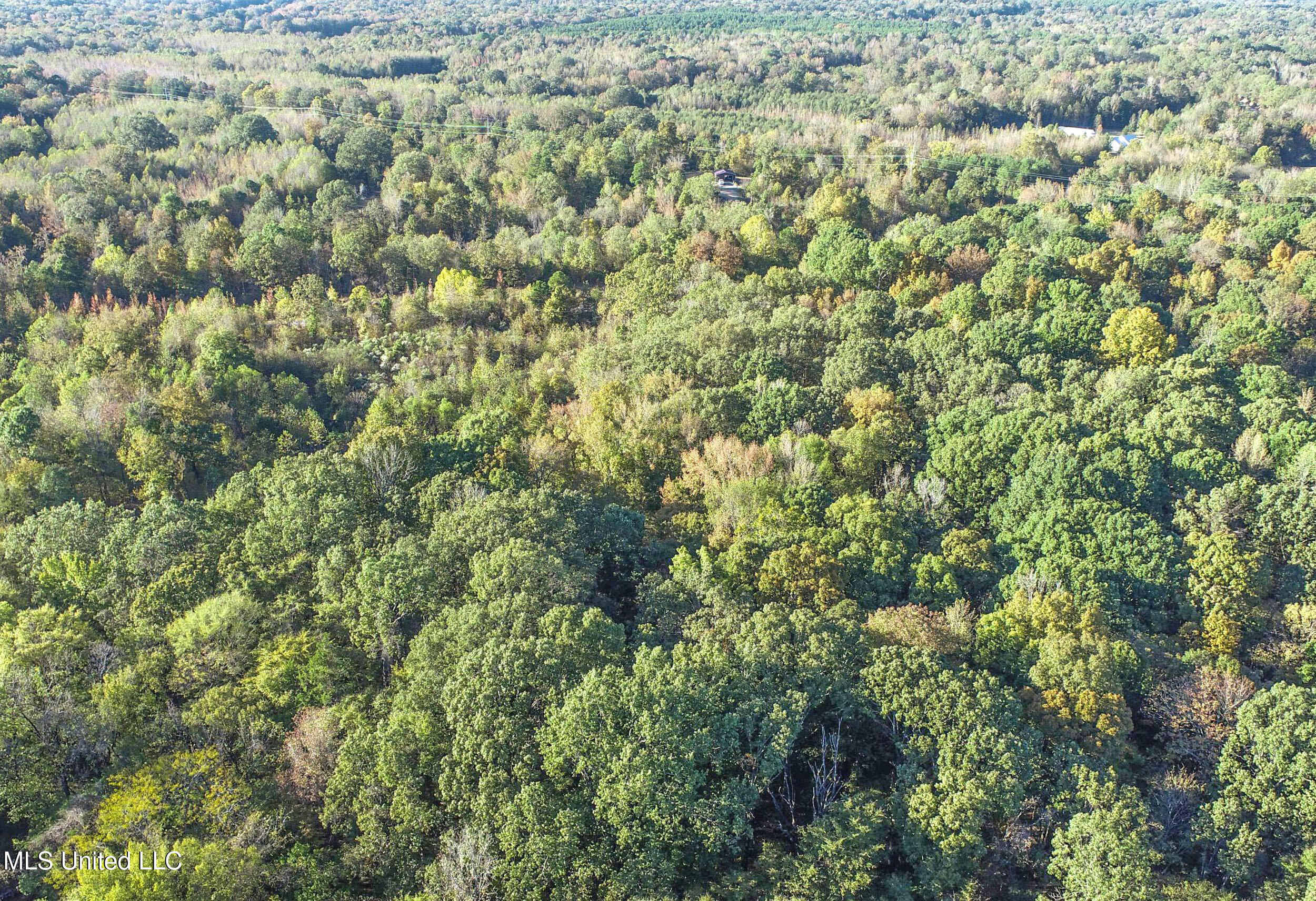 Chapel Town Road Courtland, MS 38620 - Photo 18 of 28 12.2CTRd17