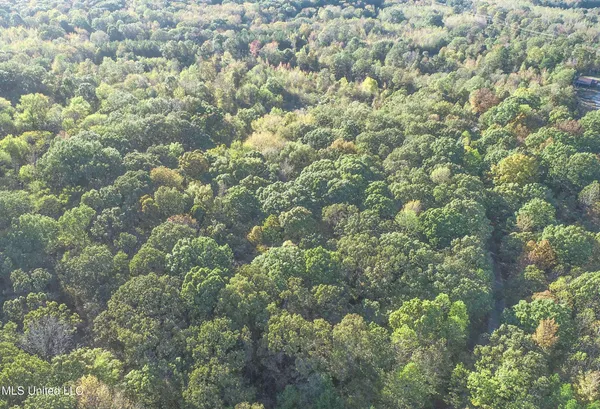 $96,000 | Chapel Town Road, Courtland, MS 38620