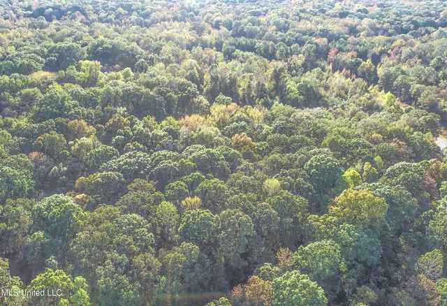 $96,000 | Chapel Town Road, Courtland, MS 38620