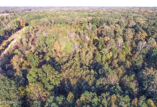 $96,000 | Chapel Town Road, Courtland, MS 38620