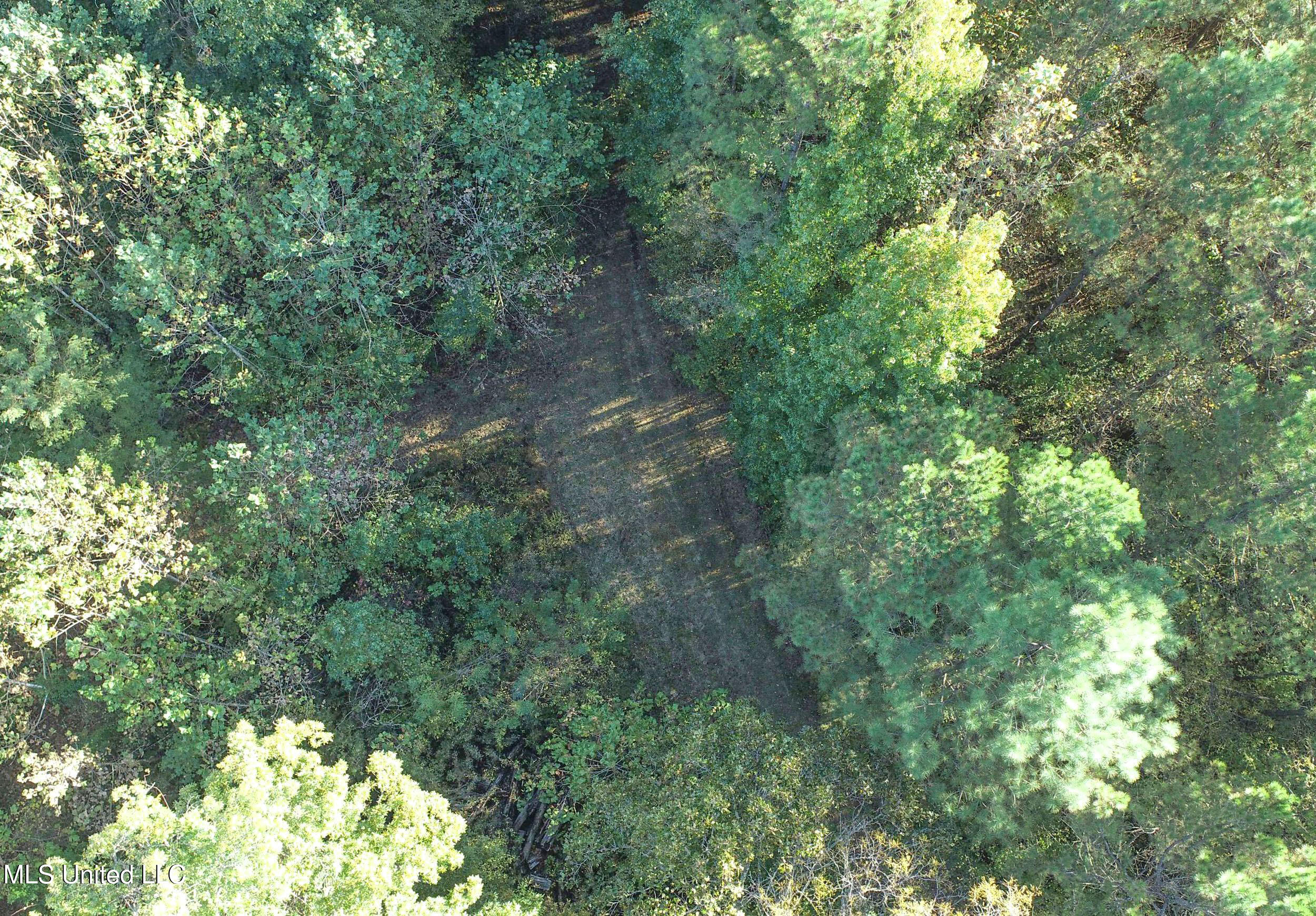 Chapel Town Road Courtland, MS 38620 - Photo 22 of 28 12.2CTRd21