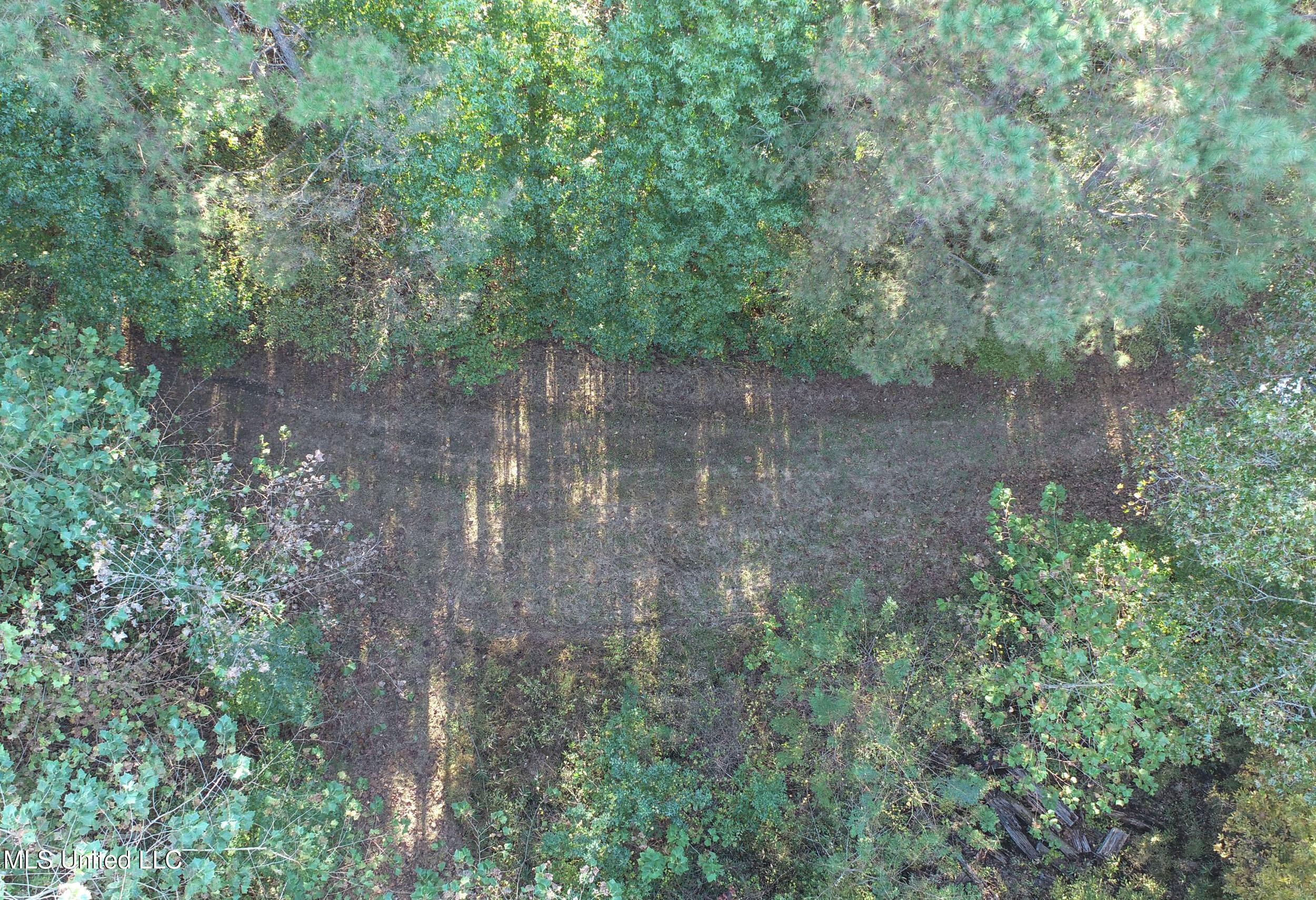 Chapel Town Road Courtland, MS 38620 - Photo 23 of 28 12.2CTRd22